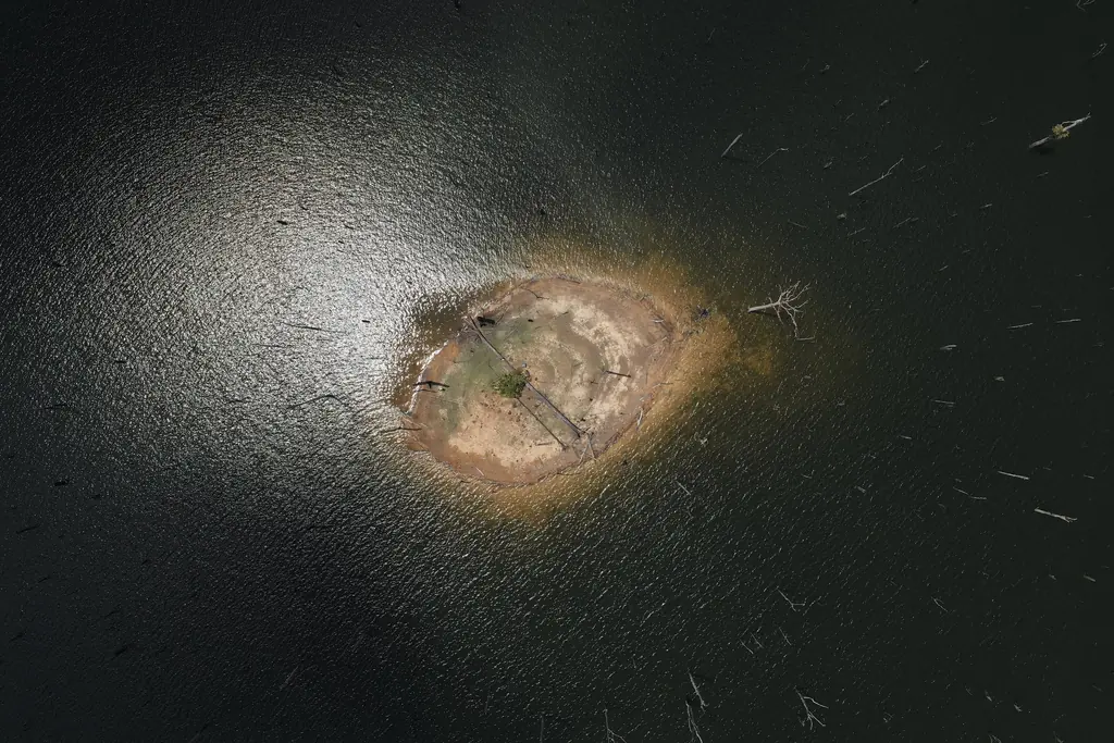 A ilha de decolagem no meio dos troncos, vista de 120 m